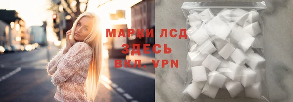 гидра Алексин
