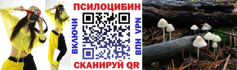 наркота  Добрянка  Псилоцибиновые грибы Magic Shrooms 
